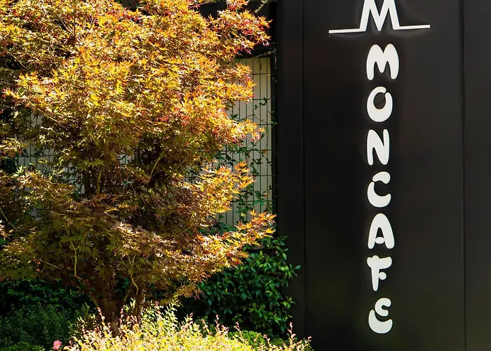 Отель Moncafe Boutique &